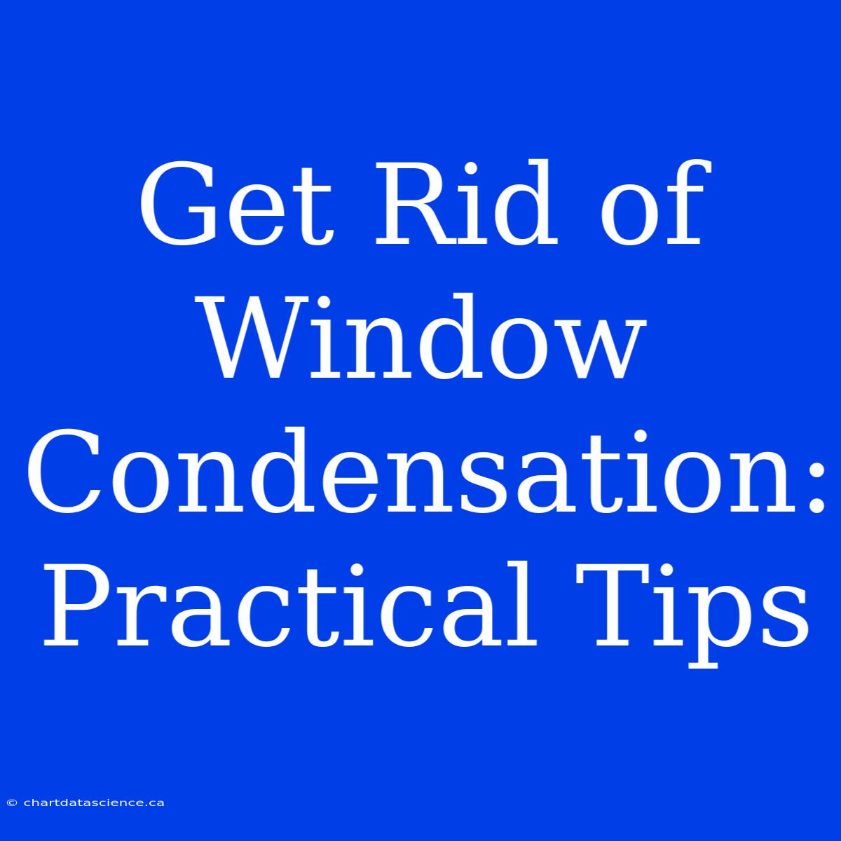 Get Rid Of Window Condensation: Practical Tips