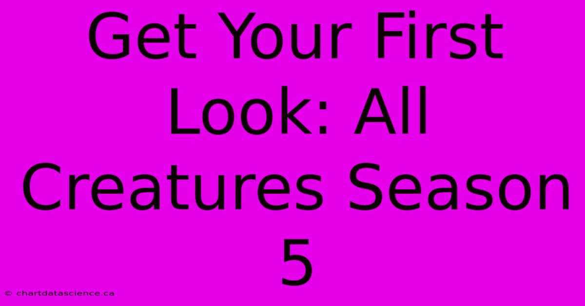 Get Your First Look: All Creatures Season 5