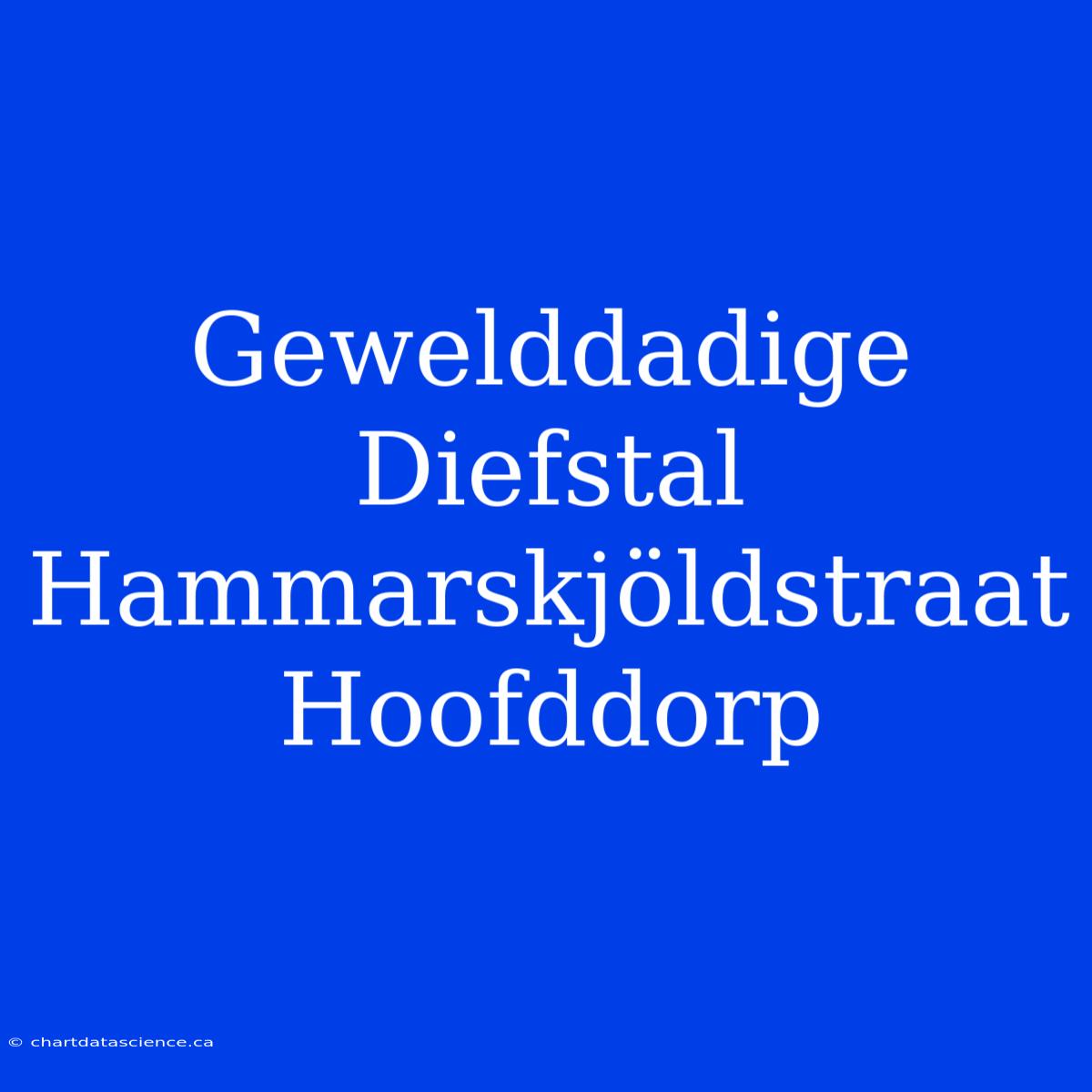 Gewelddadige Diefstal Hammarskjöldstraat Hoofddorp