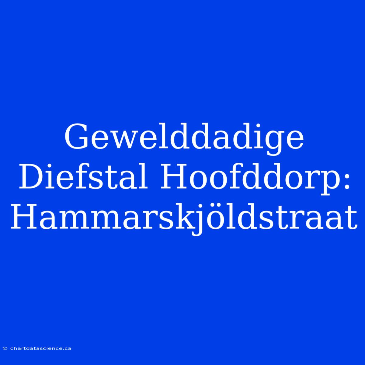 Gewelddadige Diefstal Hoofddorp: Hammarskjöldstraat