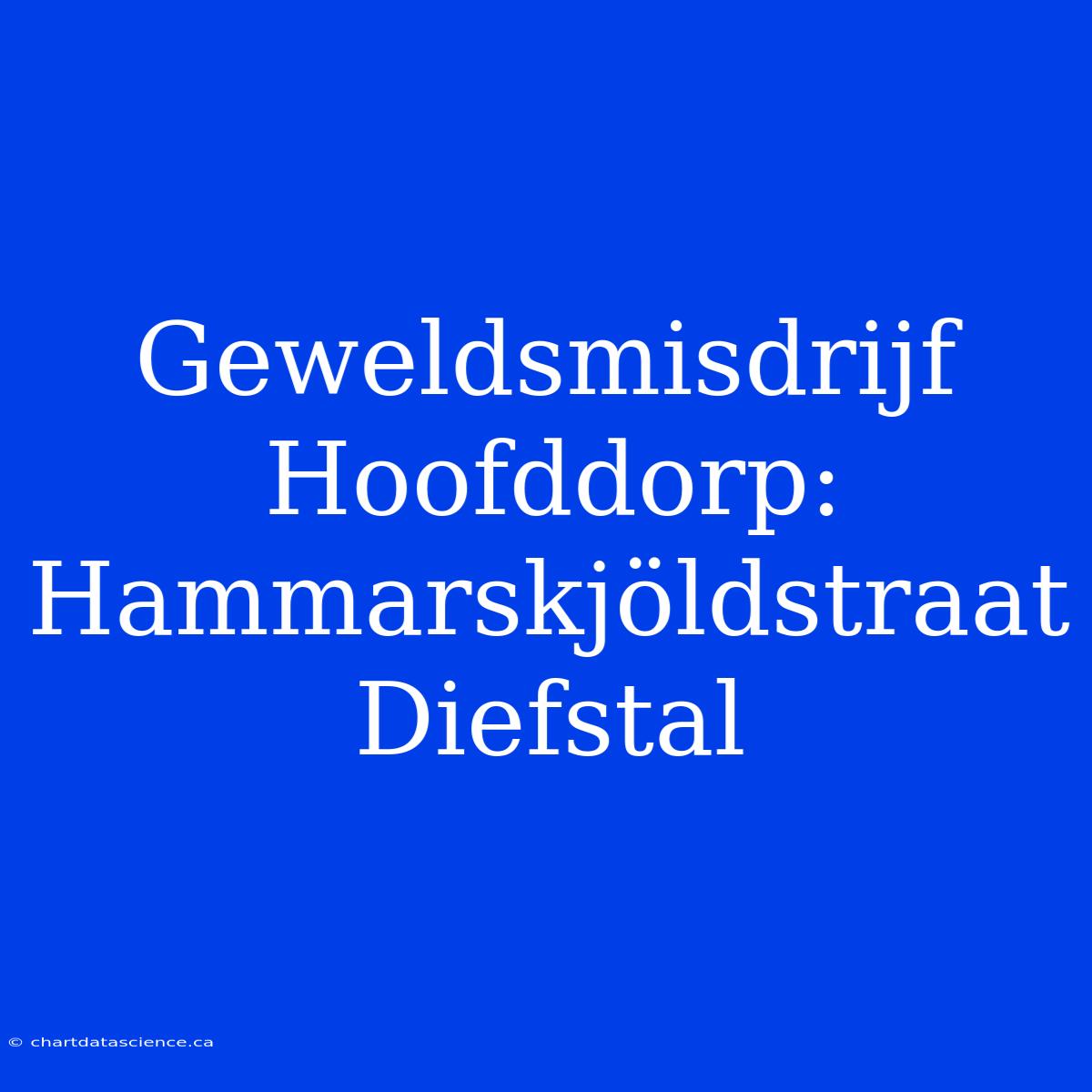 Geweldsmisdrijf Hoofddorp: Hammarskjöldstraat Diefstal