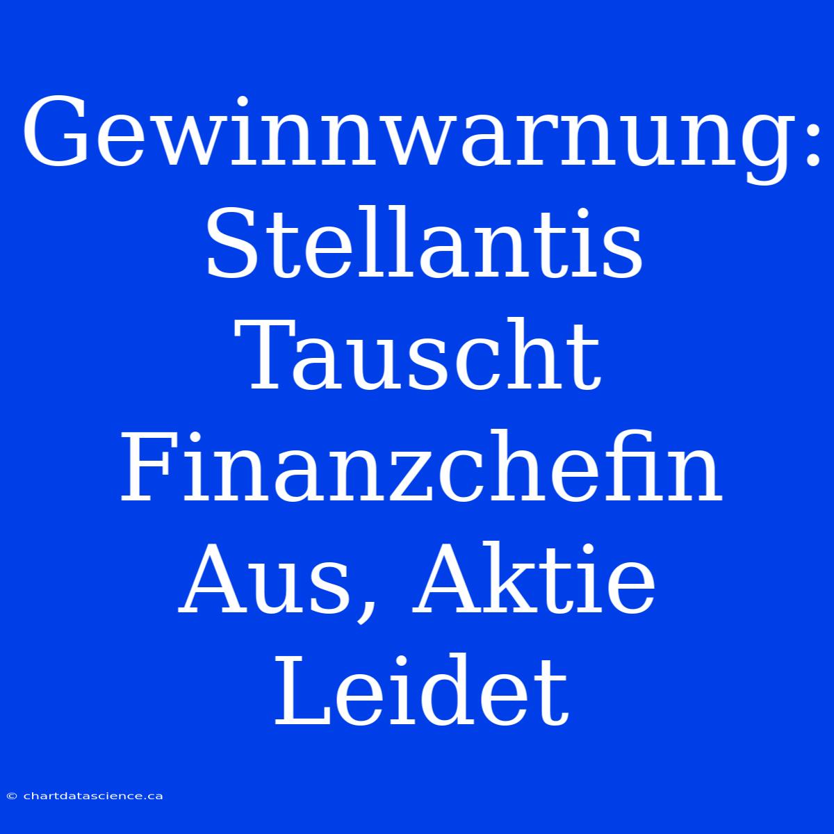 Gewinnwarnung: Stellantis Tauscht Finanzchefin Aus, Aktie Leidet