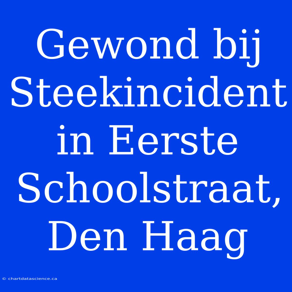 Gewond Bij Steekincident In Eerste Schoolstraat, Den Haag