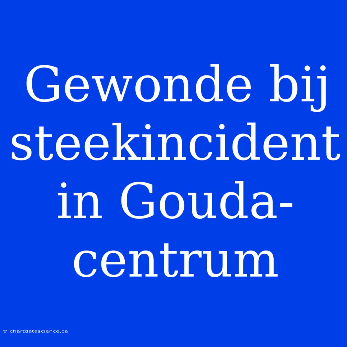 Gewonde Bij Steekincident In Gouda-centrum