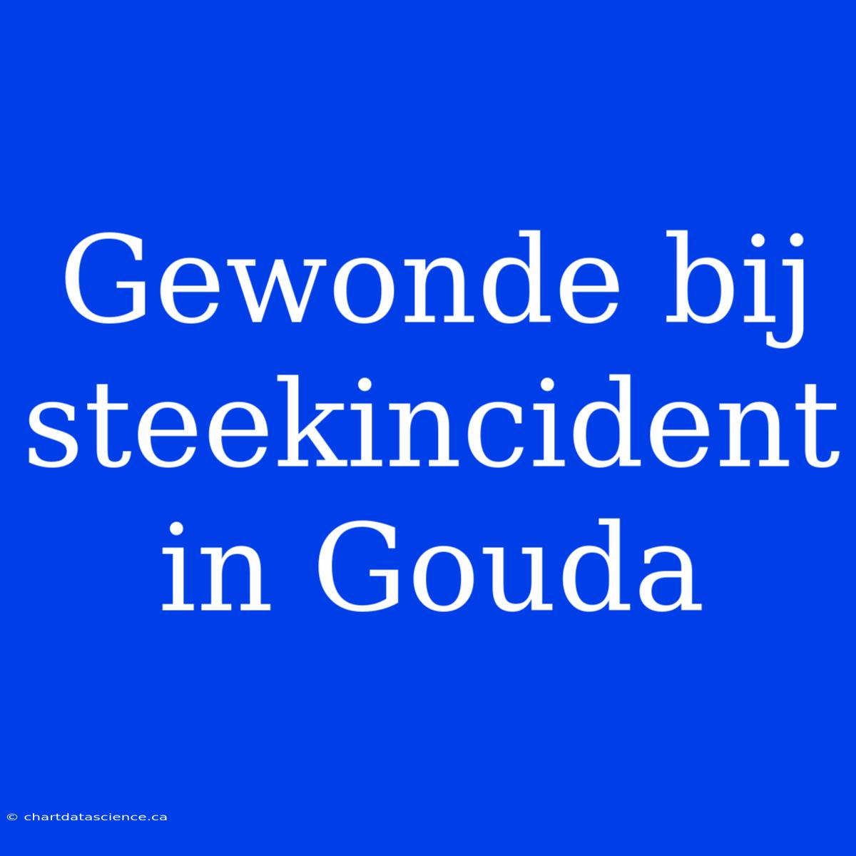 Gewonde Bij Steekincident In Gouda