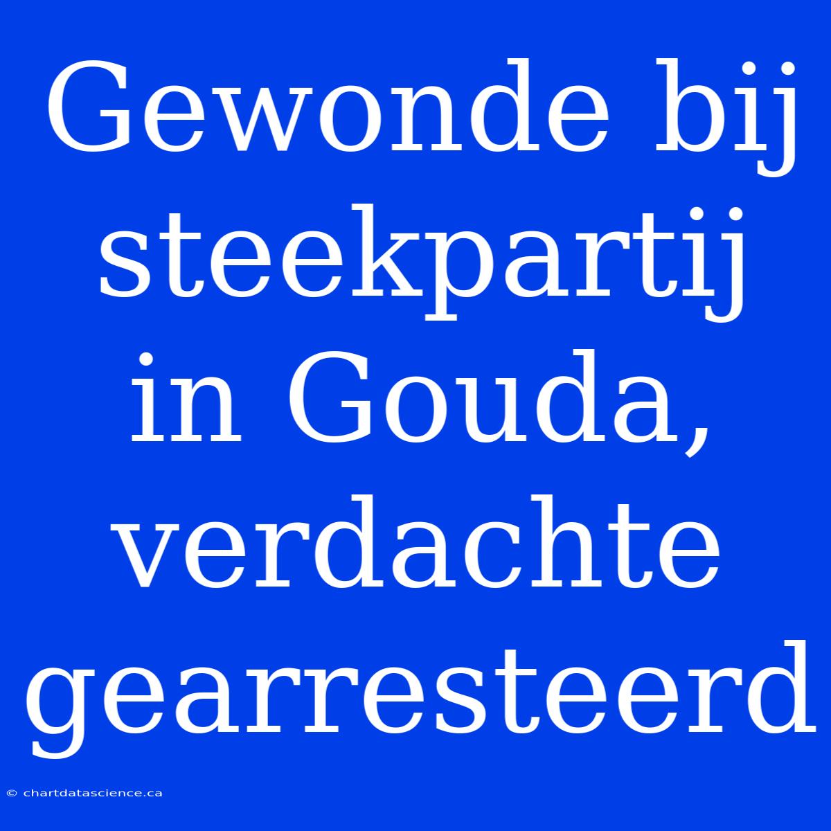 Gewonde Bij Steekpartij In Gouda, Verdachte Gearresteerd