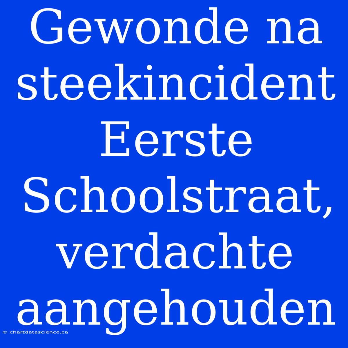 Gewonde Na Steekincident Eerste Schoolstraat, Verdachte Aangehouden