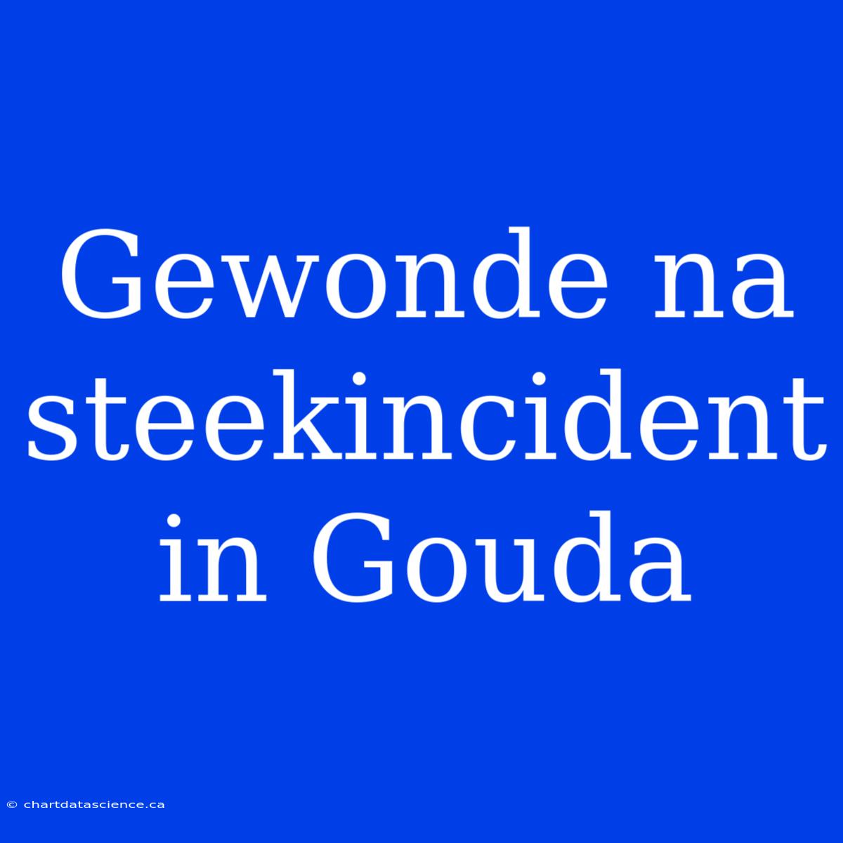 Gewonde Na Steekincident In Gouda