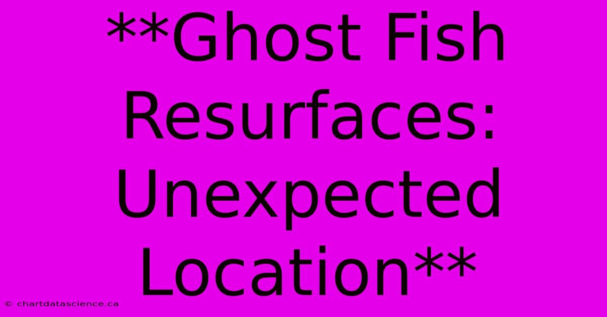 **Ghost Fish Resurfaces: Unexpected Location**