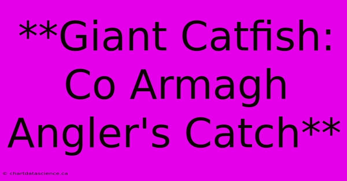 **Giant Catfish: Co Armagh Angler's Catch**