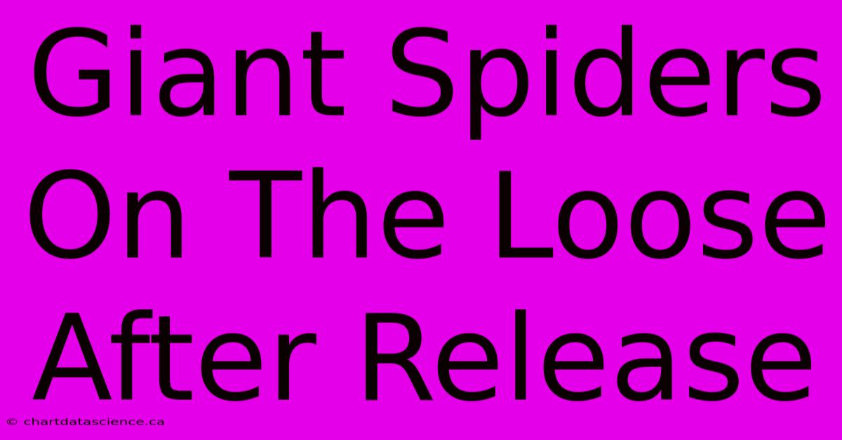 Giant Spiders On The Loose After Release