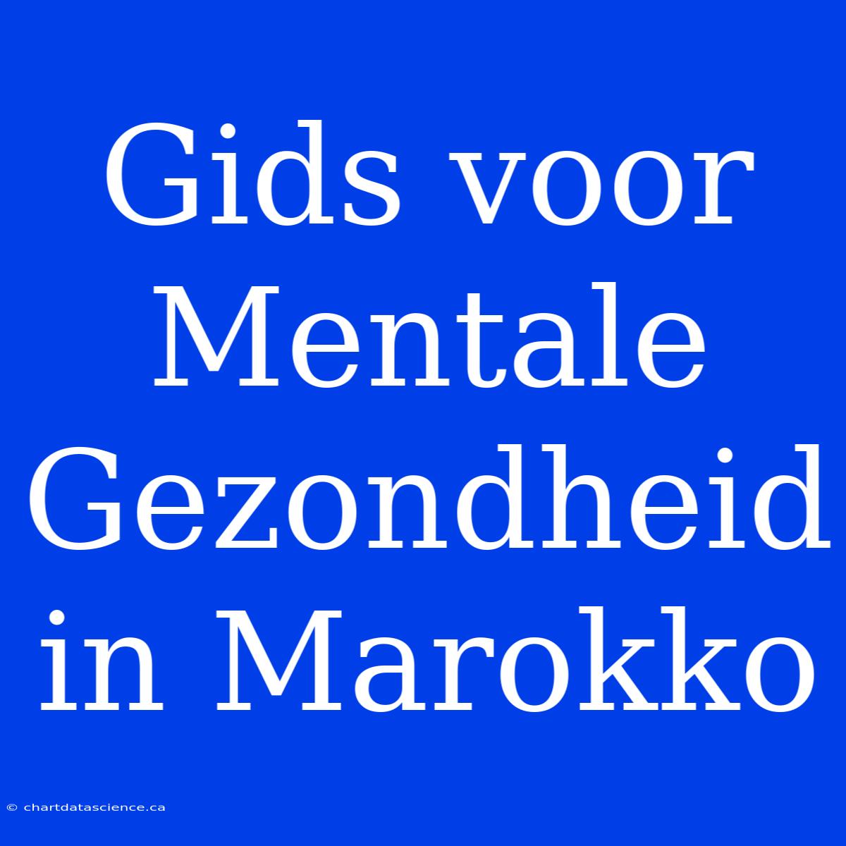 Gids Voor Mentale Gezondheid In Marokko