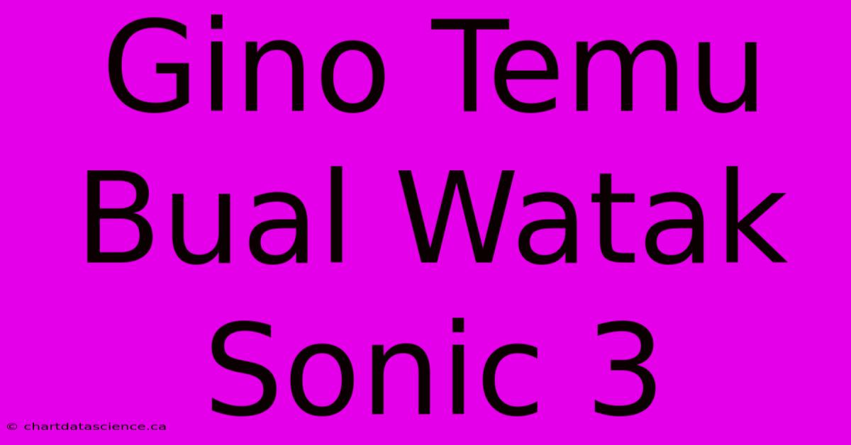 Gino Temu Bual Watak Sonic 3