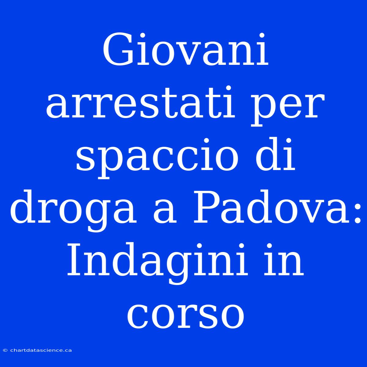 Giovani Arrestati Per Spaccio Di Droga A Padova: Indagini In Corso