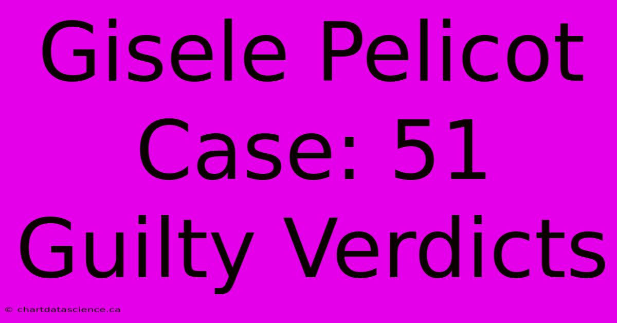 Gisele Pelicot Case: 51 Guilty Verdicts