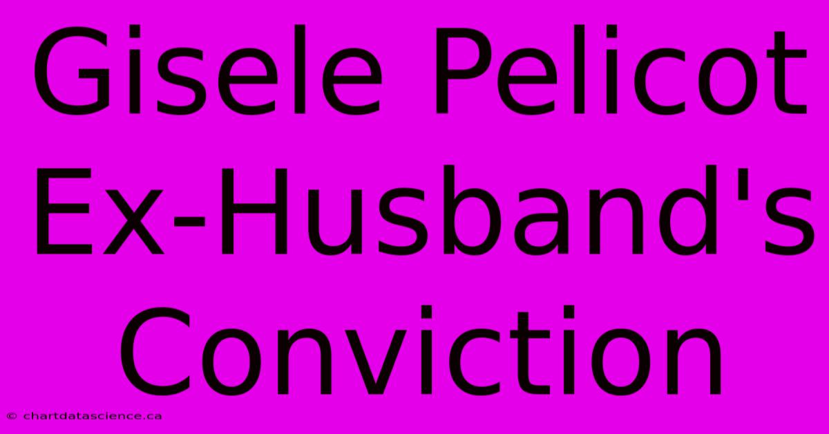 Gisele Pelicot Ex-Husband's Conviction