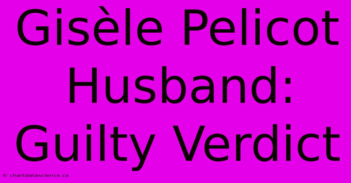 Gisèle Pelicot Husband: Guilty Verdict