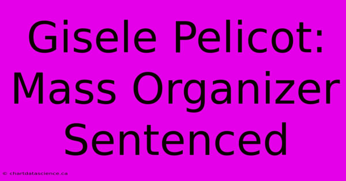 Gisele Pelicot: Mass Organizer Sentenced