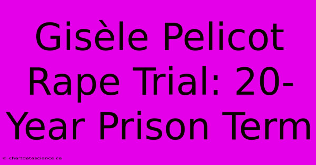 Gisèle Pelicot Rape Trial: 20-Year Prison Term