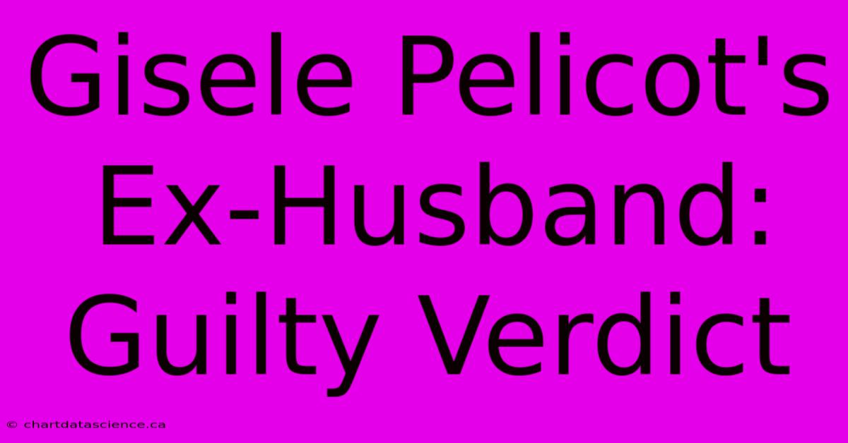 Gisele Pelicot's Ex-Husband: Guilty Verdict