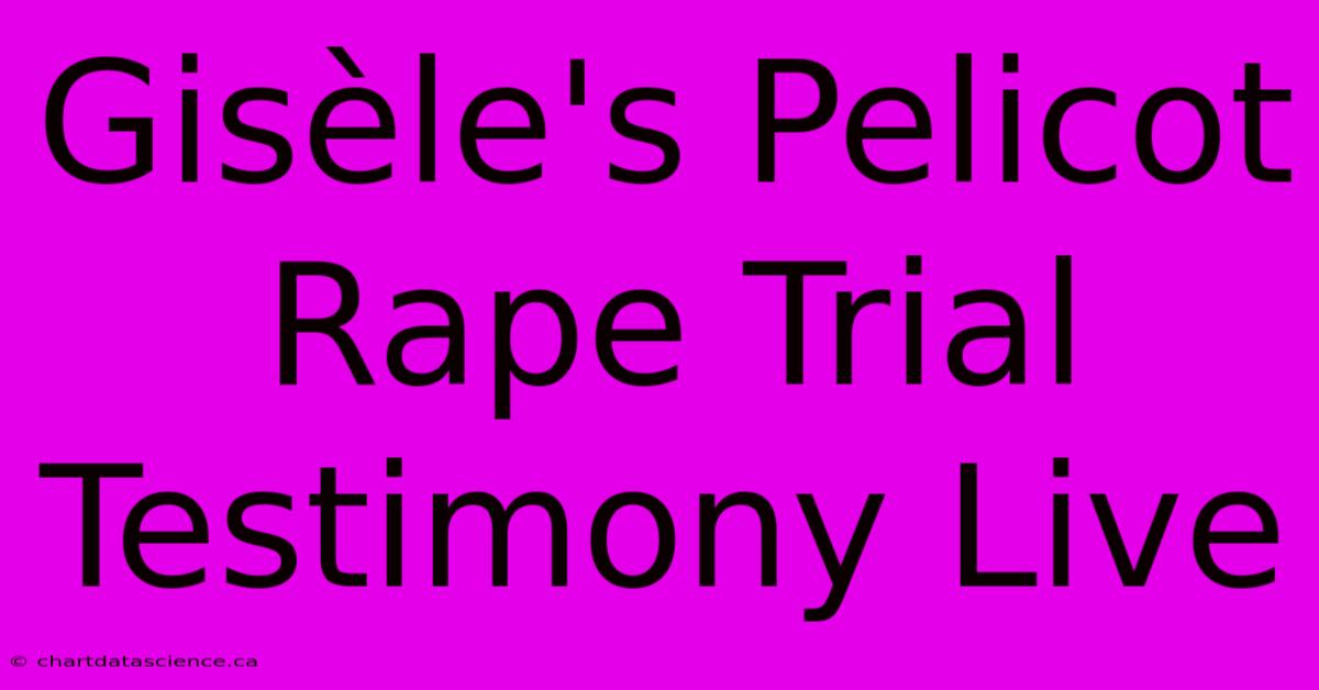 Gisèle's Pelicot Rape Trial Testimony Live