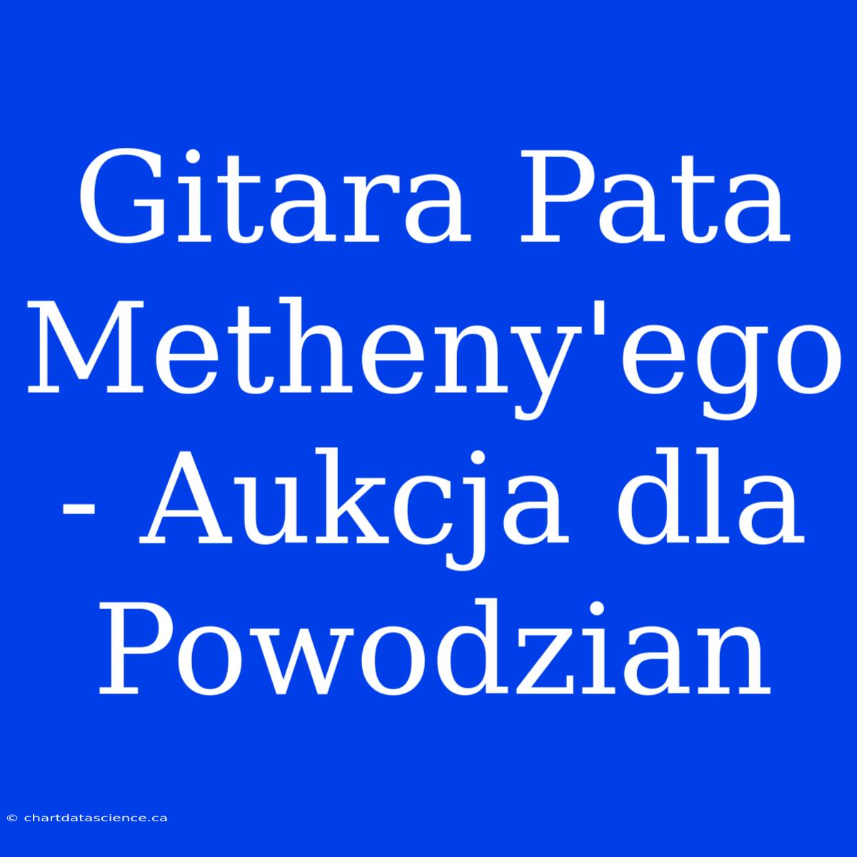 Gitara Pata Metheny'ego - Aukcja Dla Powodzian