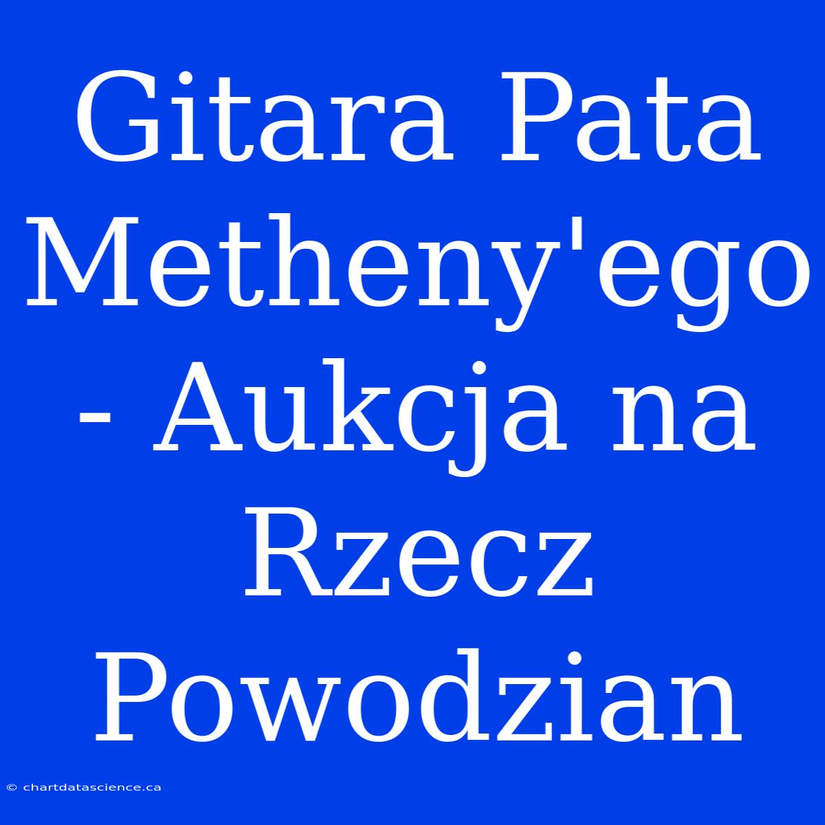 Gitara Pata Metheny'ego - Aukcja Na Rzecz Powodzian