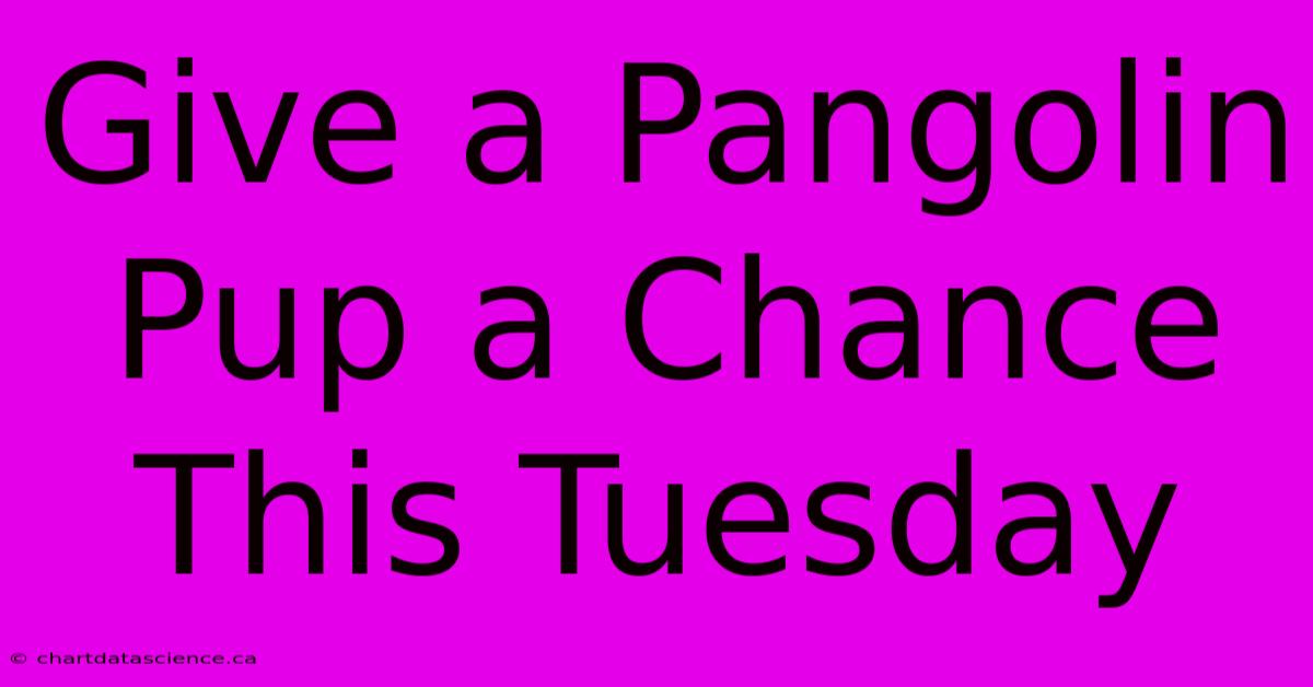 Give A Pangolin Pup A Chance This Tuesday