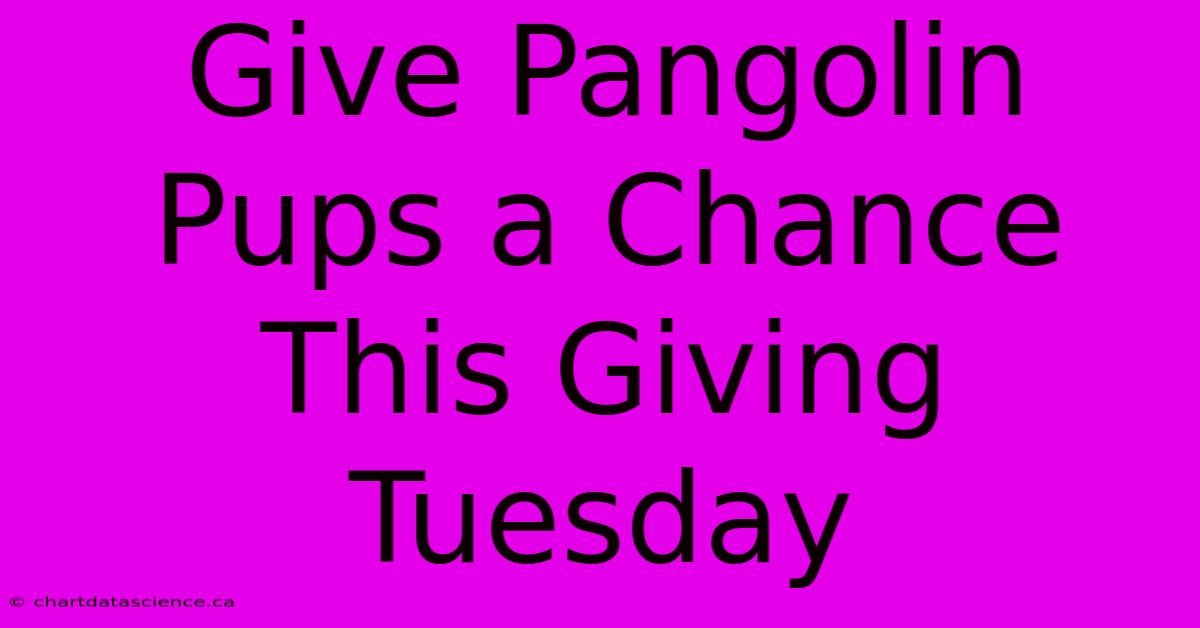 Give Pangolin Pups A Chance This Giving Tuesday