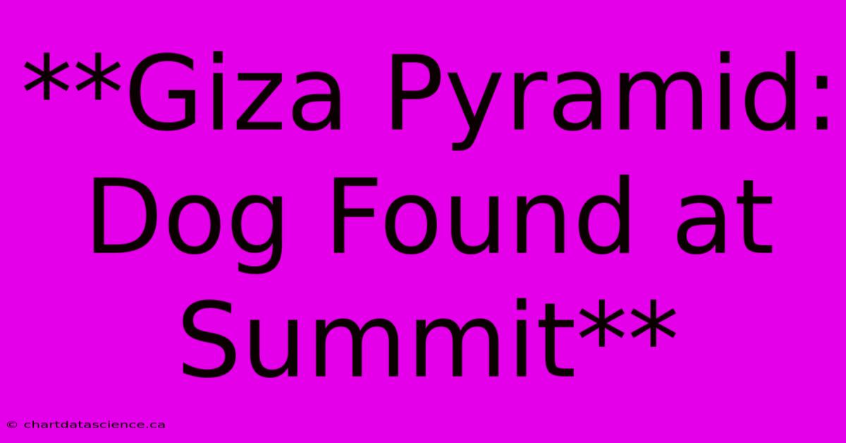 **Giza Pyramid: Dog Found At Summit**