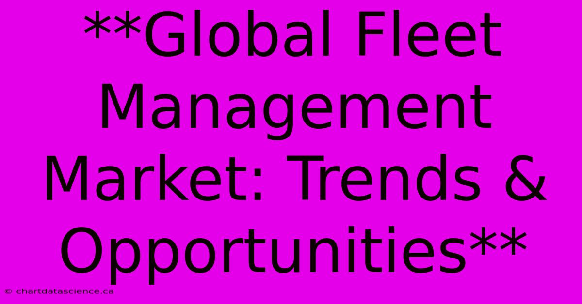 **Global Fleet Management Market: Trends & Opportunities**