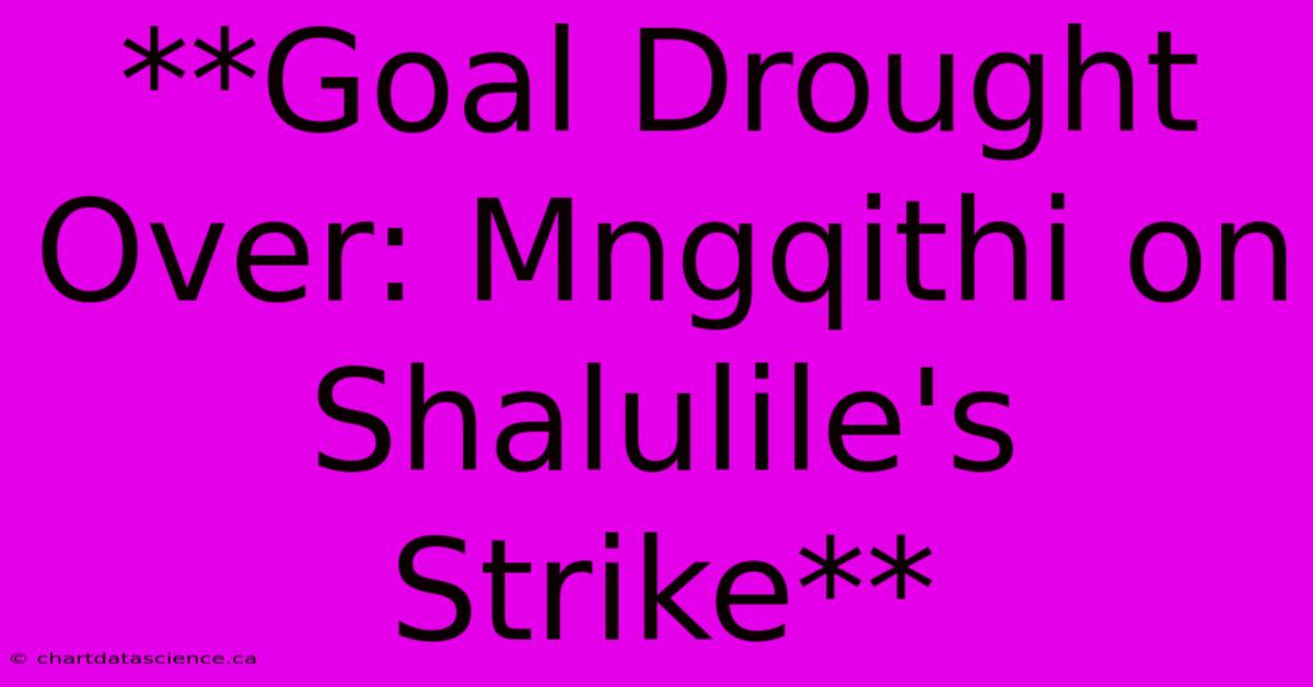 **Goal Drought Over: Mngqithi On Shalulile's Strike**