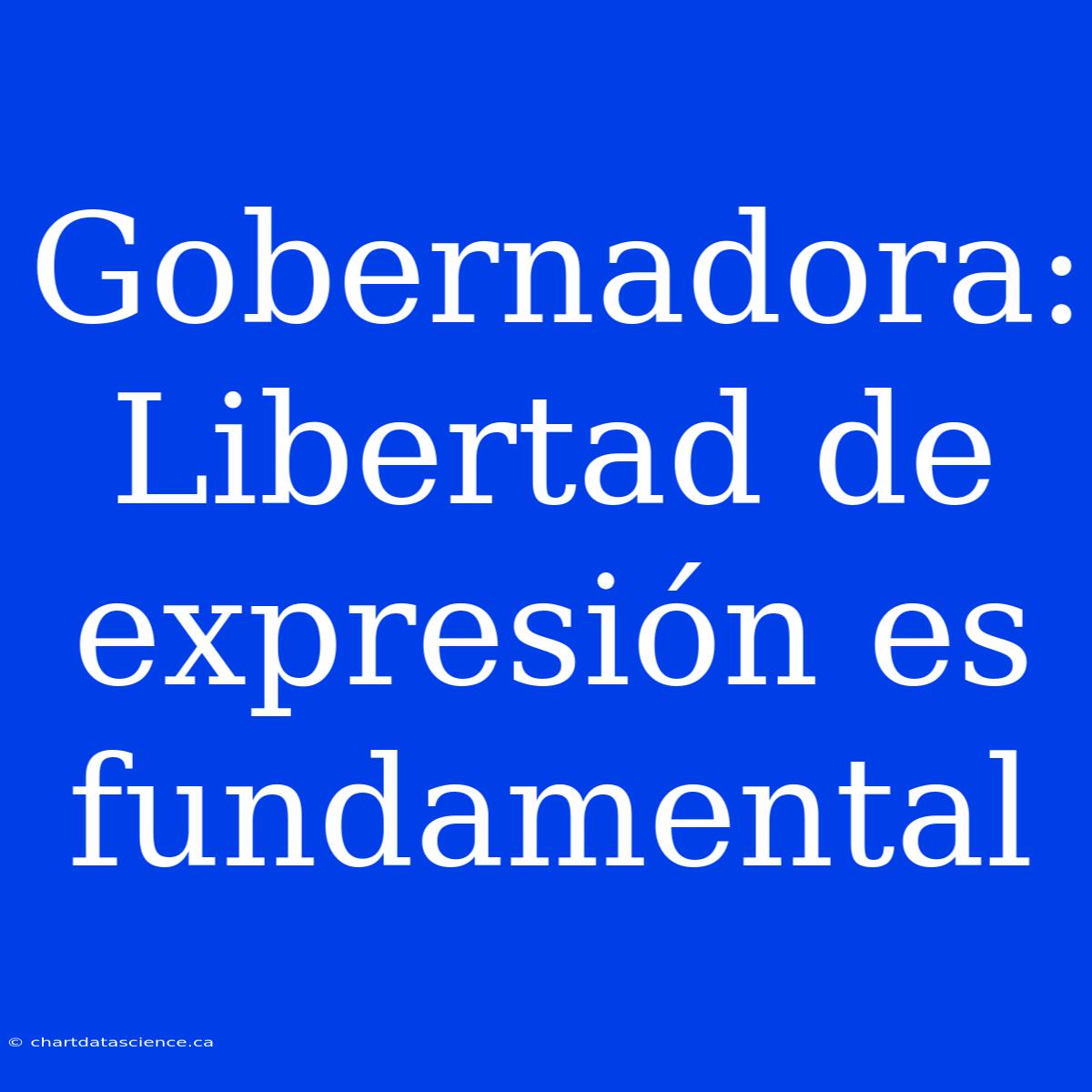 Gobernadora: Libertad De Expresión Es Fundamental