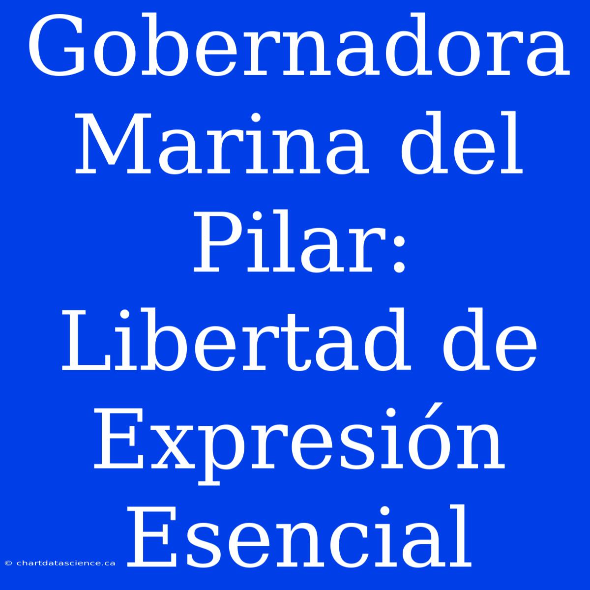 Gobernadora Marina Del Pilar: Libertad De Expresión Esencial