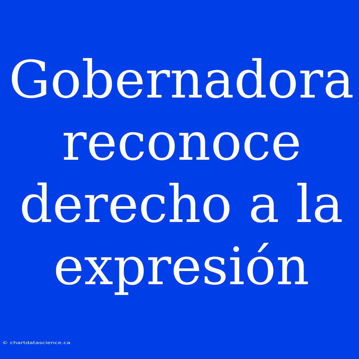 Gobernadora Reconoce Derecho A La Expresión