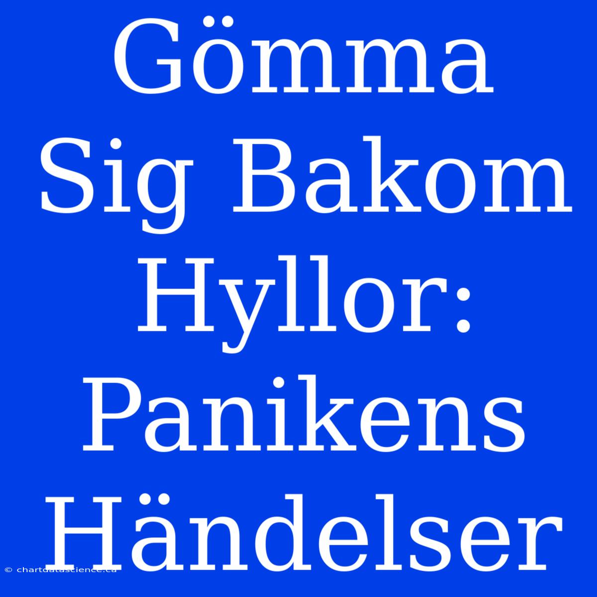 Gömma Sig Bakom Hyllor: Panikens Händelser