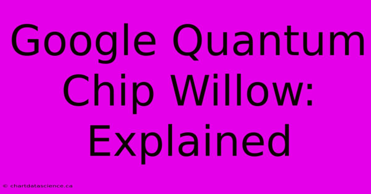 Google Quantum Chip Willow: Explained