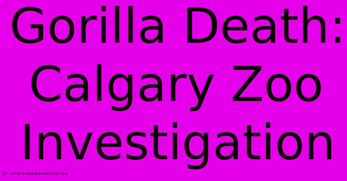 Gorilla Death: Calgary Zoo Investigation