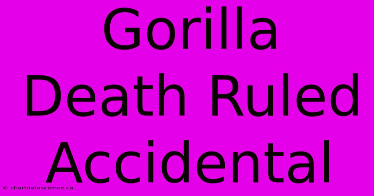 Gorilla Death Ruled Accidental