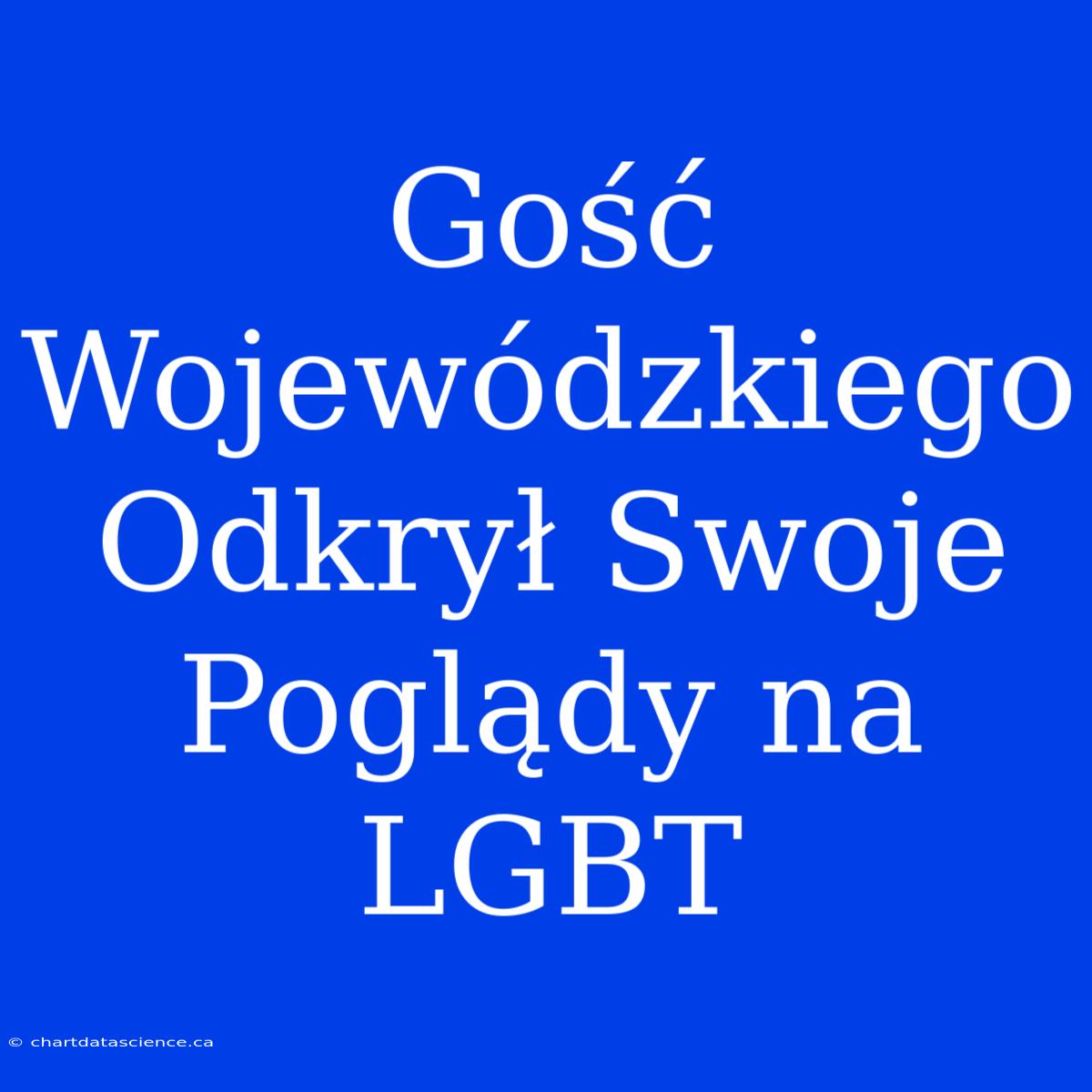 Gość Wojewódzkiego Odkrył Swoje Poglądy Na LGBT