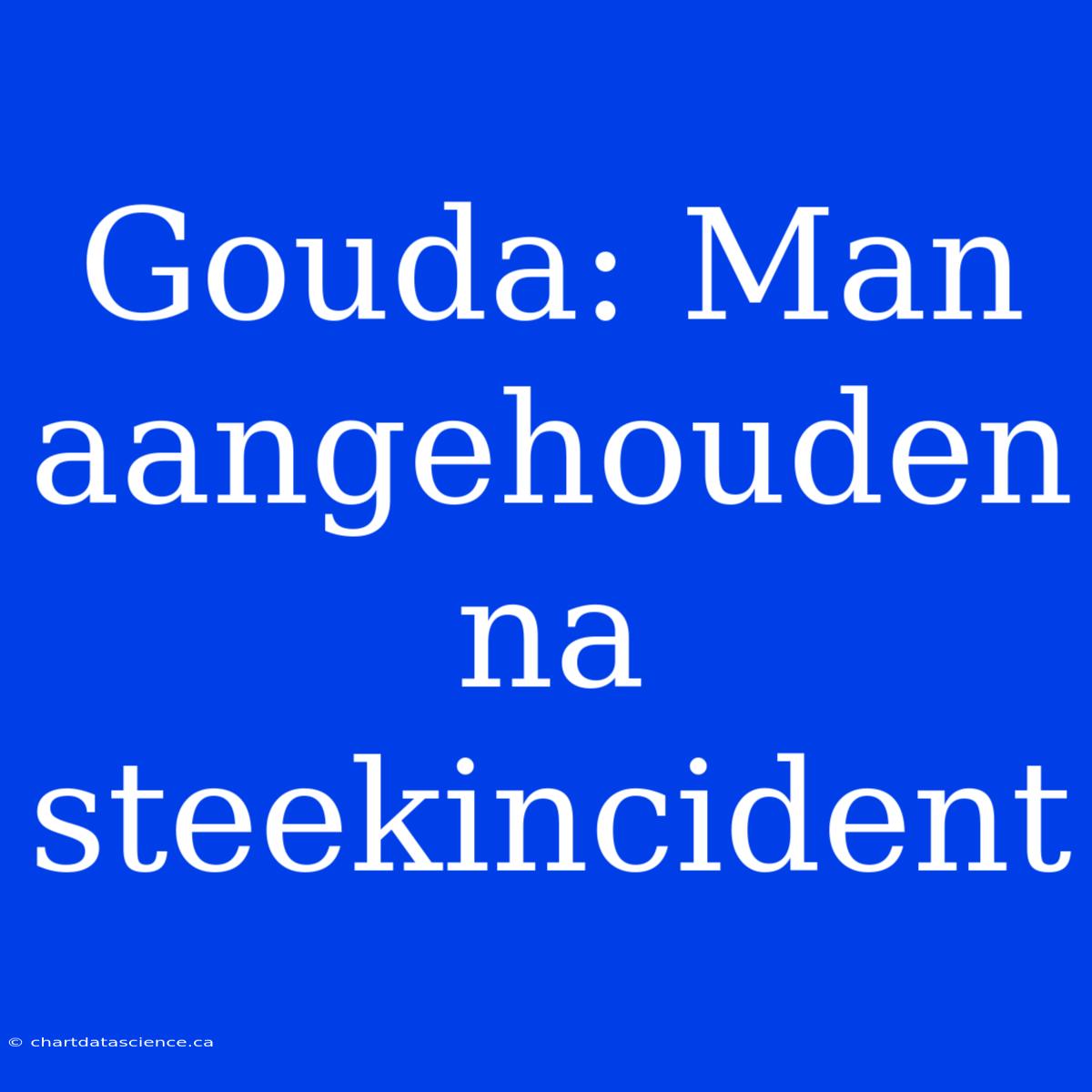 Gouda: Man Aangehouden Na Steekincident