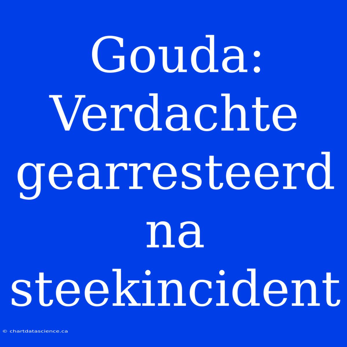 Gouda: Verdachte Gearresteerd Na Steekincident