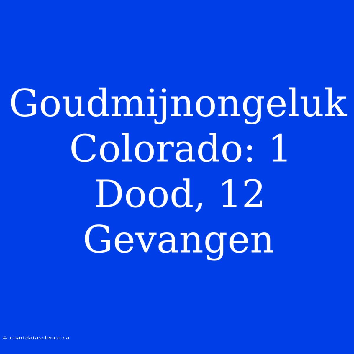 Goudmijnongeluk Colorado: 1 Dood, 12 Gevangen