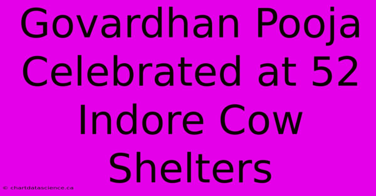 Govardhan Pooja Celebrated At 52 Indore Cow Shelters