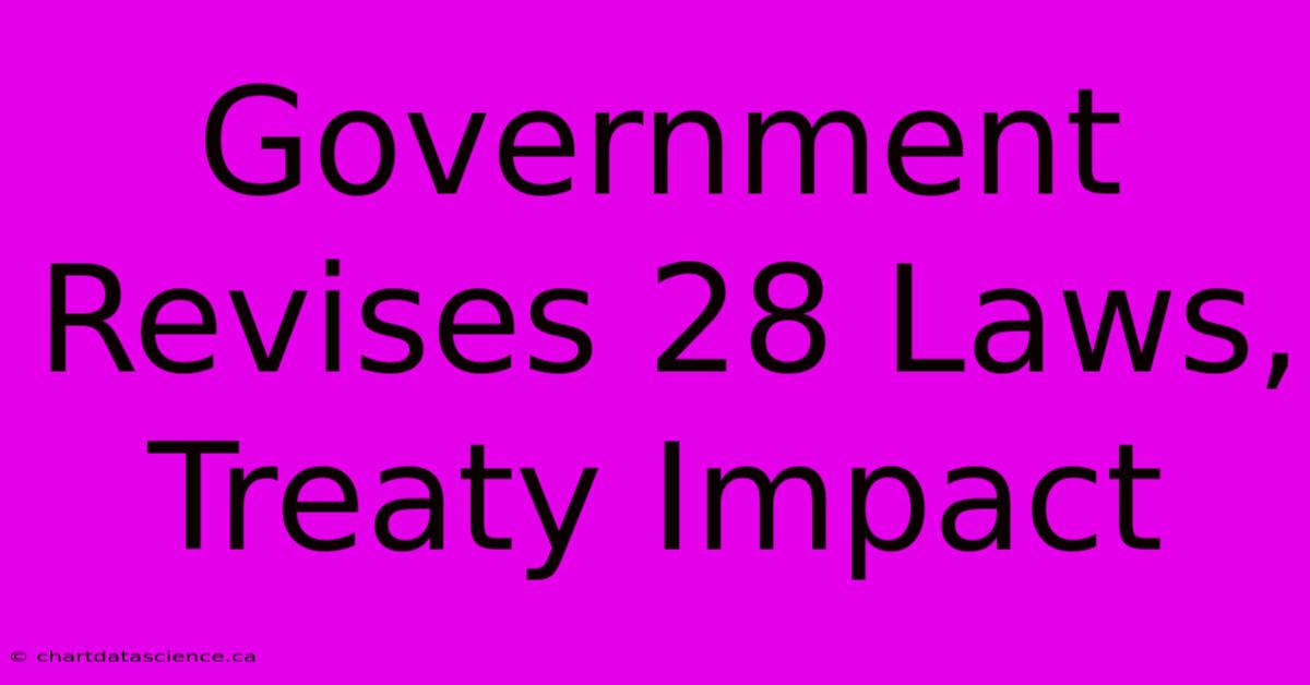 Government Revises 28 Laws, Treaty Impact