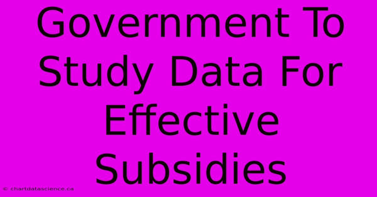 Government To Study Data For Effective Subsidies