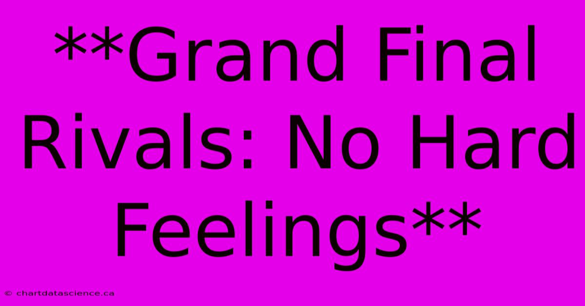 **Grand Final Rivals: No Hard Feelings** 