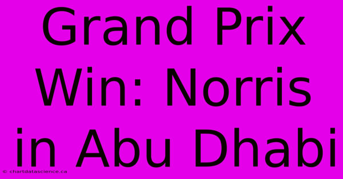 Grand Prix Win Norris In Abu Dhabi