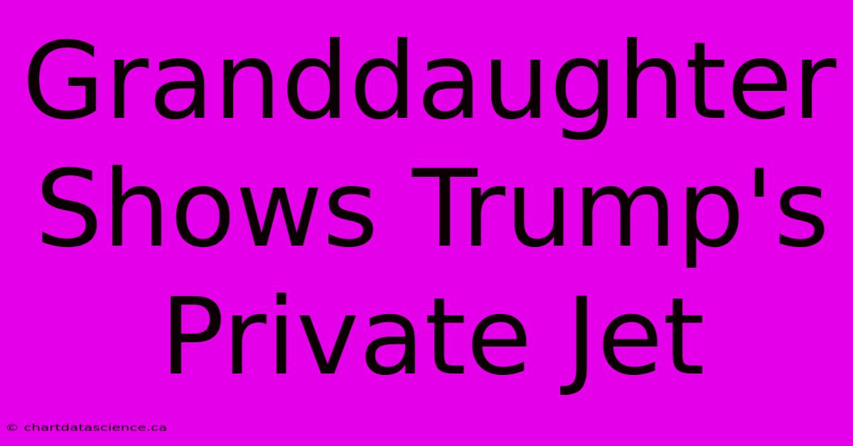 Granddaughter Shows Trump's Private Jet