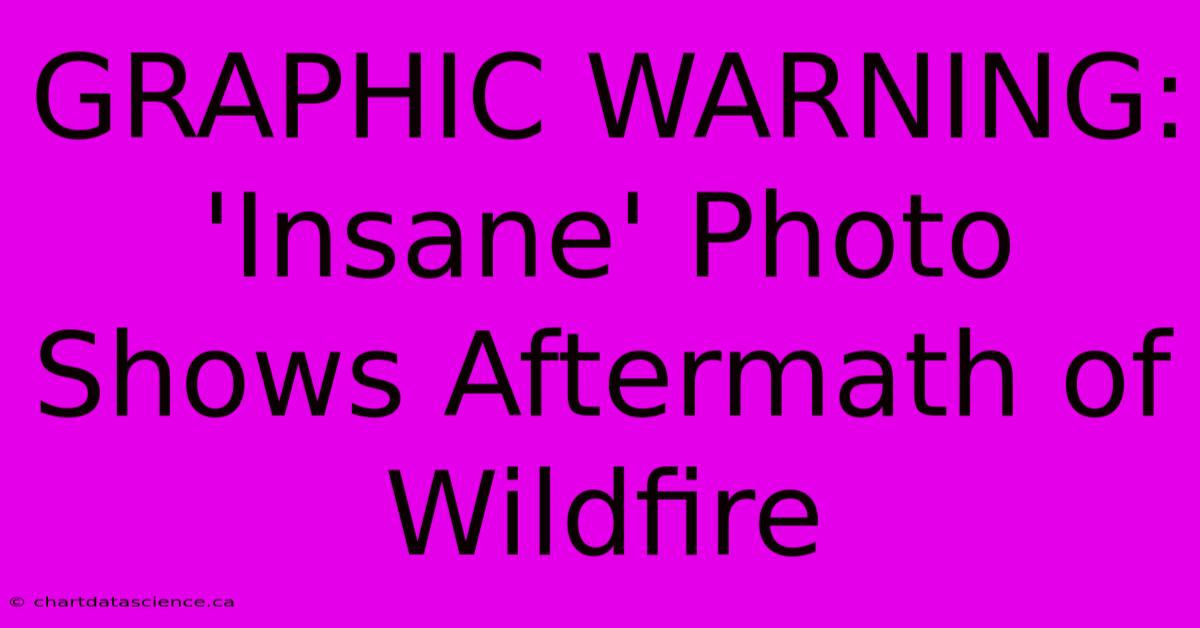 GRAPHIC WARNING: 'Insane' Photo Shows Aftermath Of Wildfire 